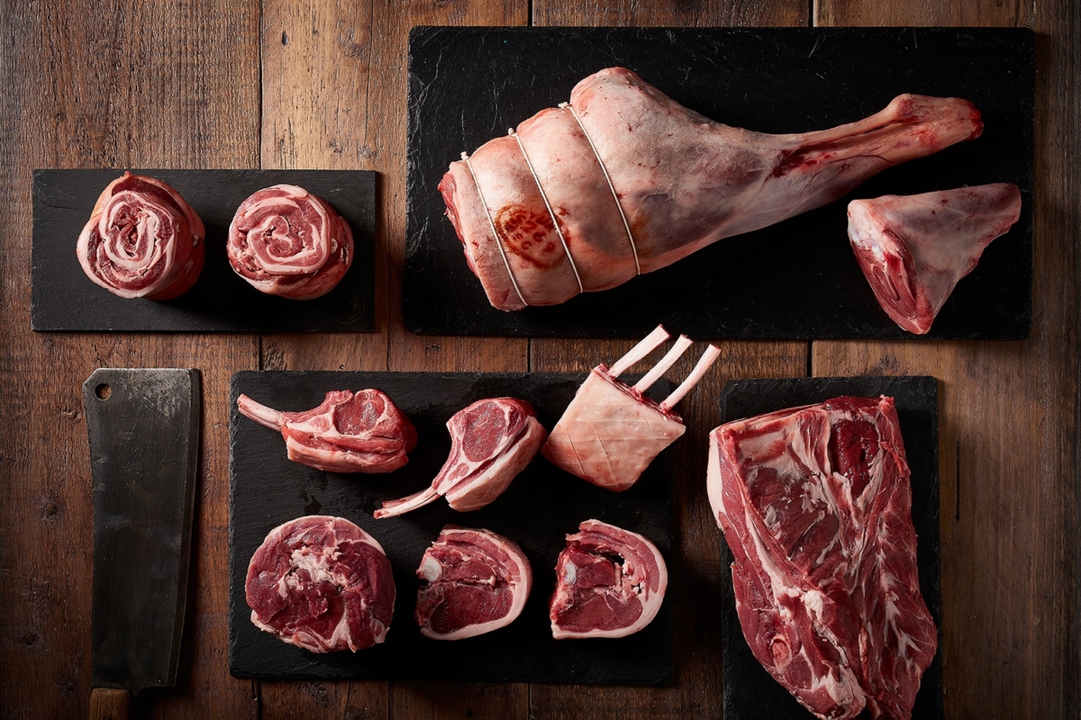 Lamb